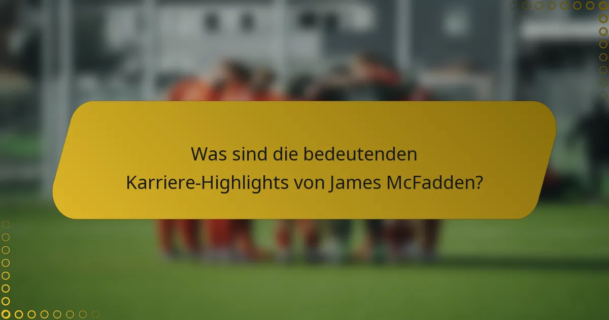 Was sind die bedeutenden Karriere-Highlights von James McFadden?