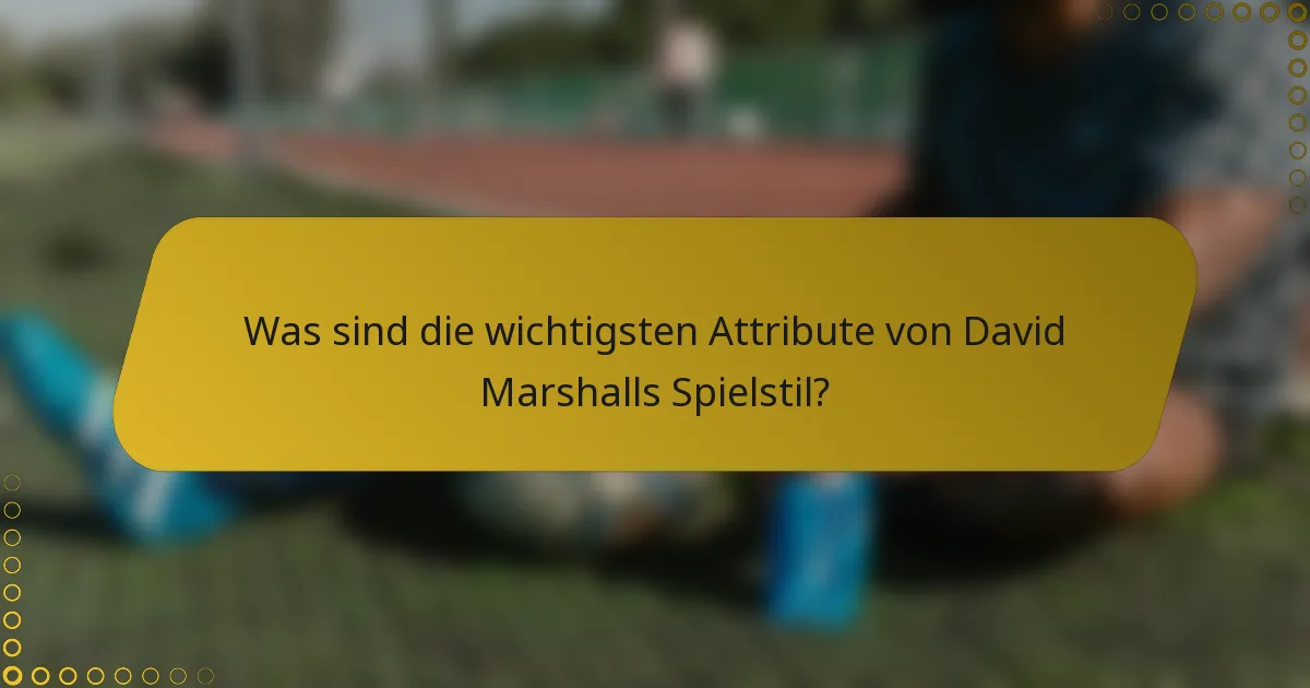 Was sind die wichtigsten Attribute von David Marshalls Spielstil?