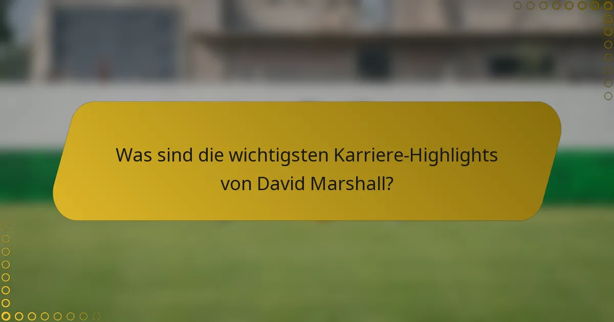 Was sind die wichtigsten Karriere-Highlights von David Marshall?
