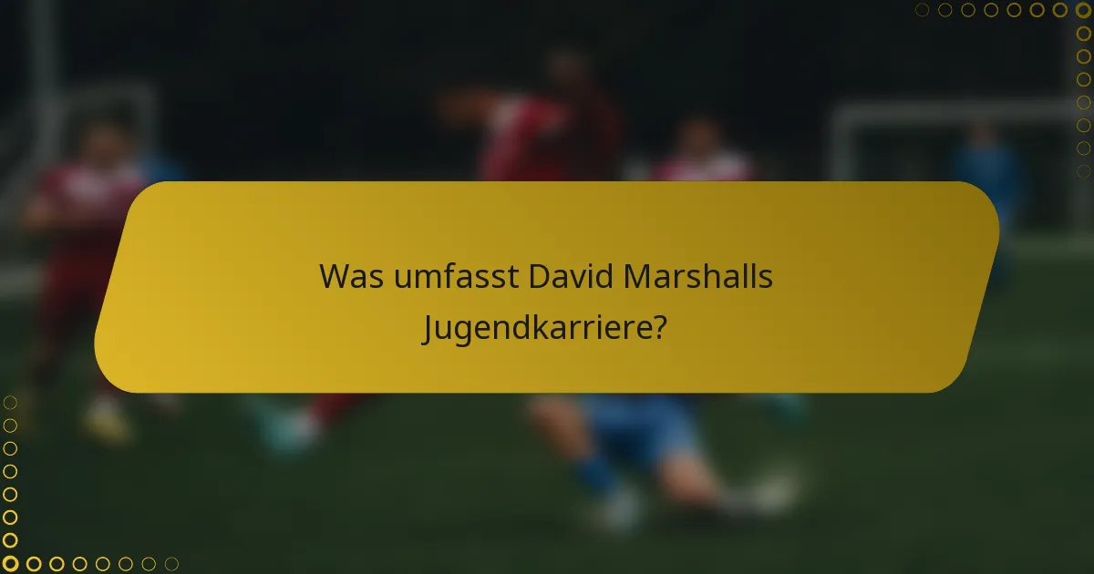 Was umfasst David Marshalls Jugendkarriere?